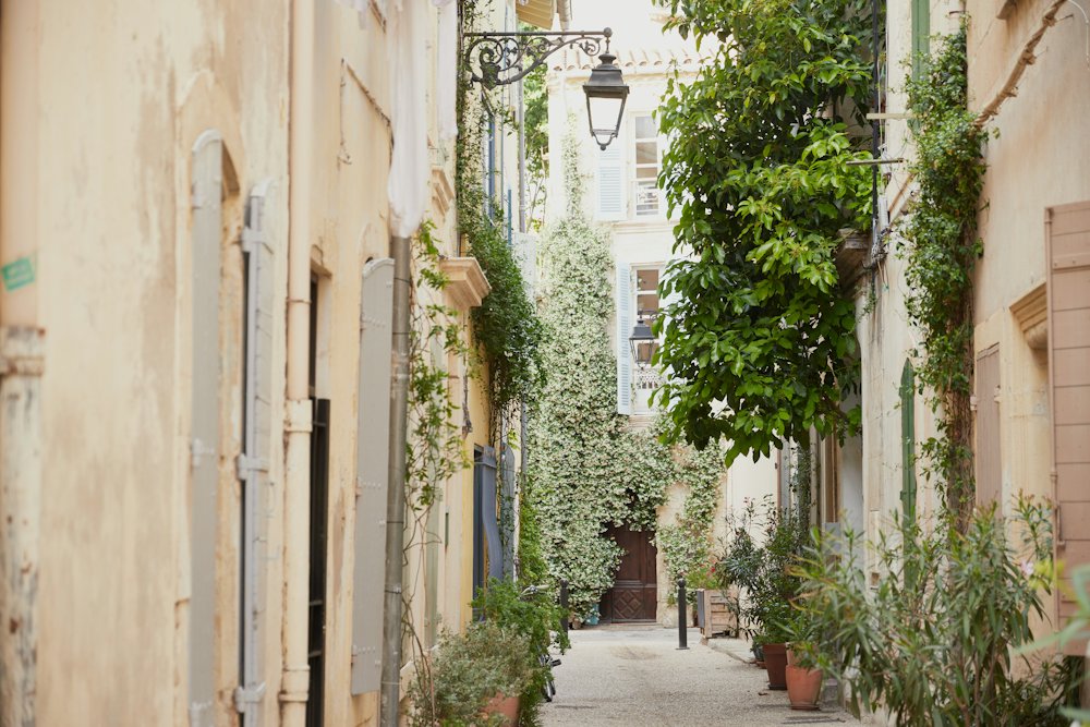 A narrow old-town lane lined with potted plants