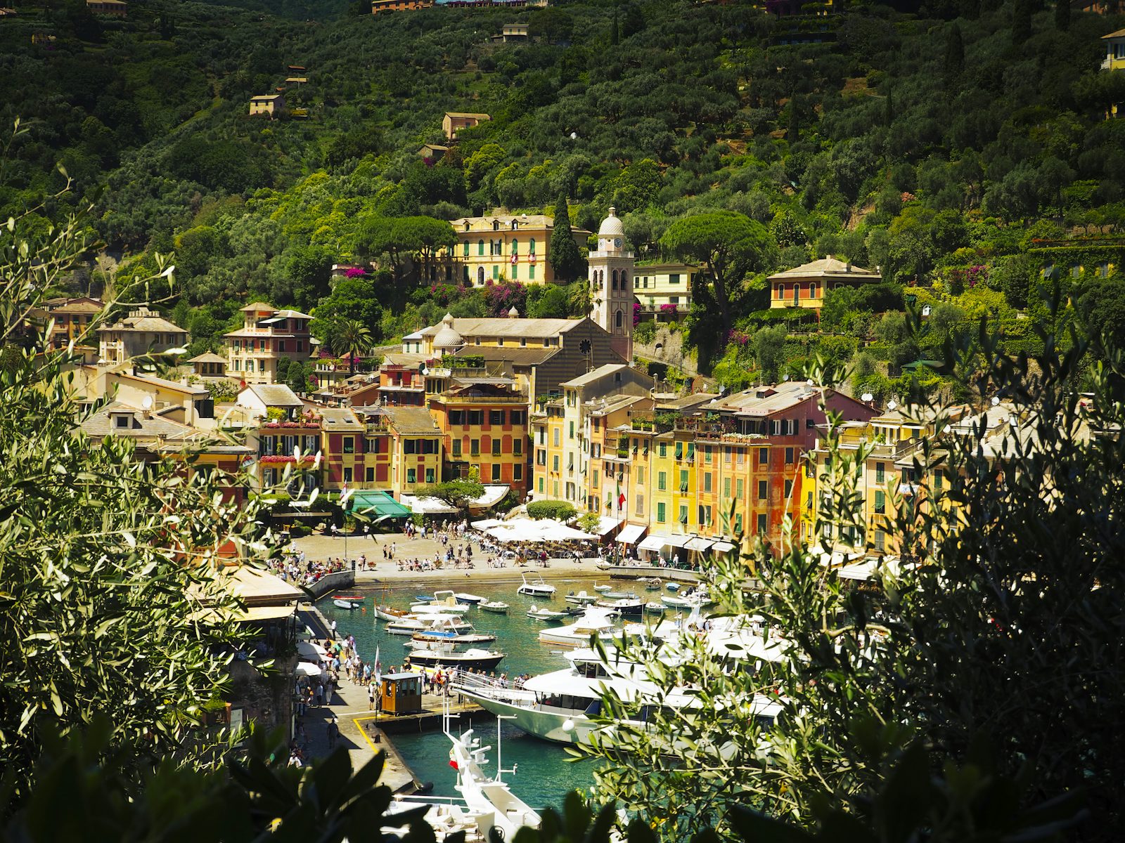 Colorful buildings and a church tower around Portofino harbor